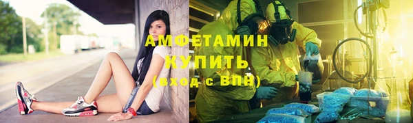 стаф Осинники