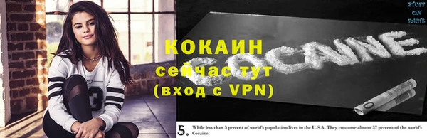 стаф Осинники