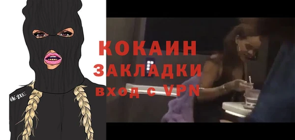 сатива Алзамай