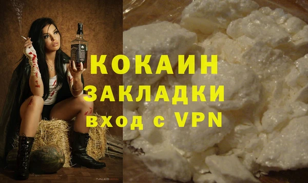 сатива Алзамай